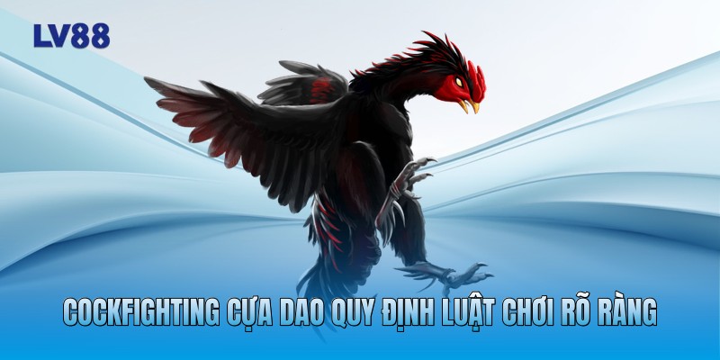 Cockfighting cựa dao quy định luật chơi rõ ràng Cockfighting cựa dao quy định luật chơi rõ ràng