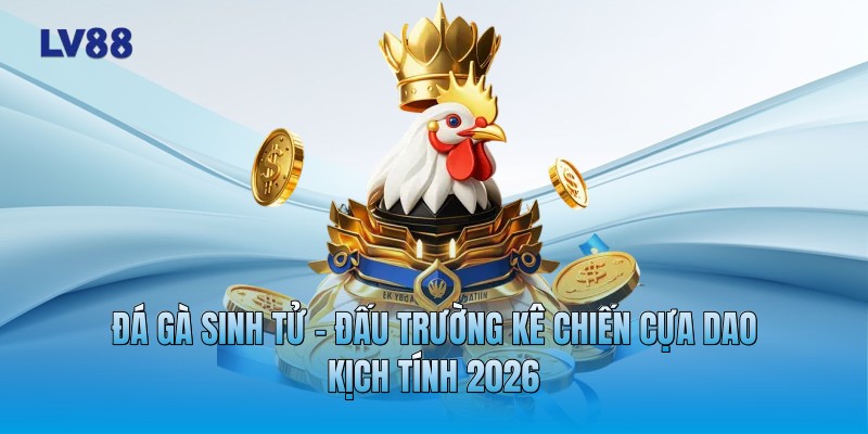 Đá Gà Sinh Tử - Đấu Trường Kê Chiến Cựa Dao Kịch Tính 2026