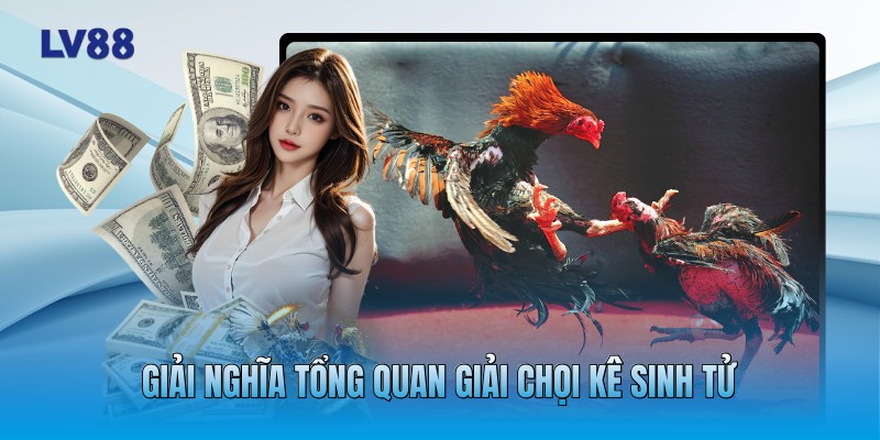 Giải nghĩa tổng quan giải chọi kê sinh tử Giải nghĩa tổng quan giải chọi kê sinh tử