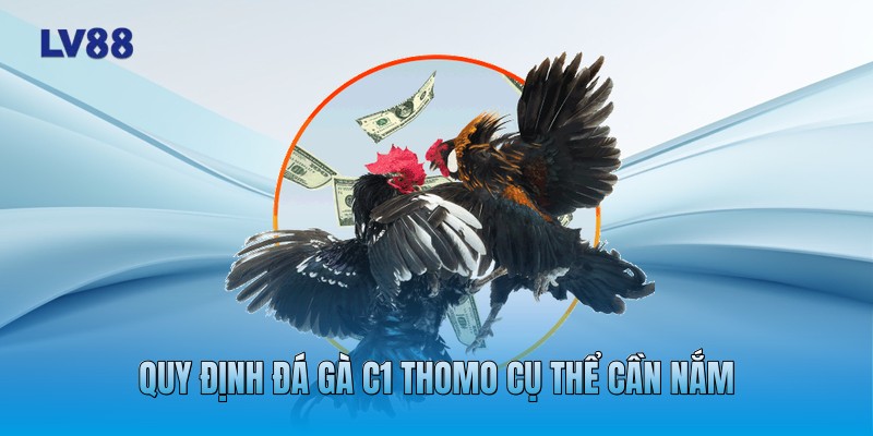 Quy định đá gà C1 Thomo cụ thể cần nắm