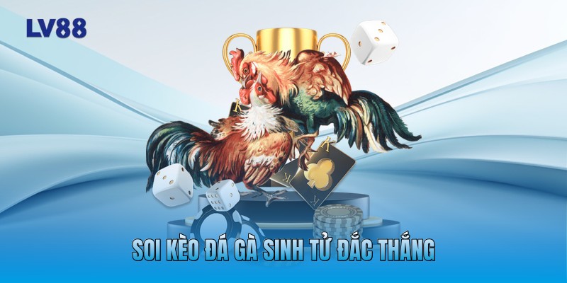Soi kèo đá gà sinh tử đắc thắng Soi kèo đá gà sinh tử đắc thắng