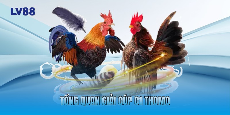 Tổng quan giải cúp C1 Thomo